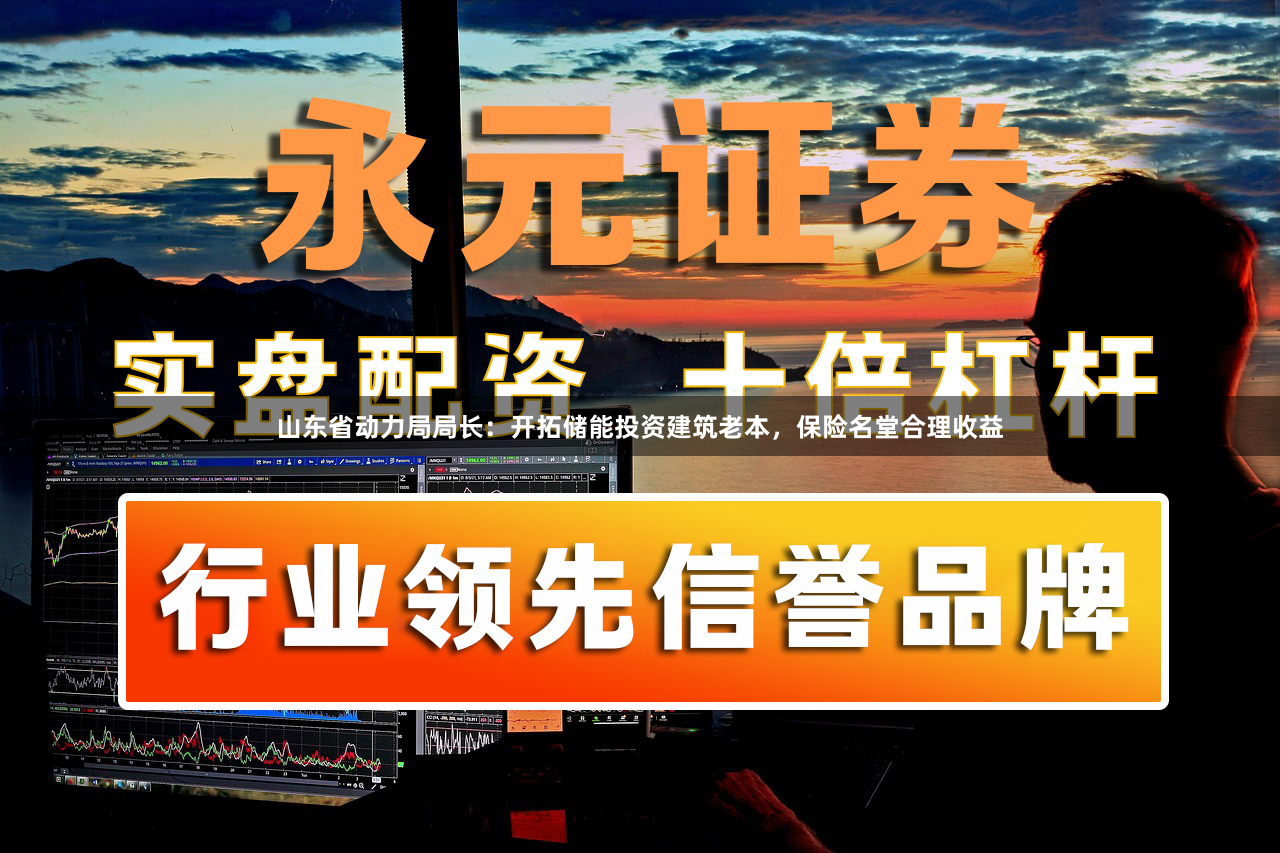 山东省动力局局长:开拓储能投资建筑老本,保险名堂合理收益