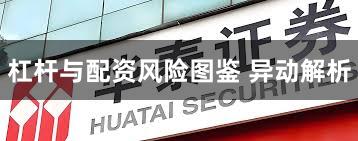 杠杆与配资风险图鉴 异动解析