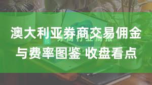 澳大利亚券商交易佣金与费率图鉴 收盘看点