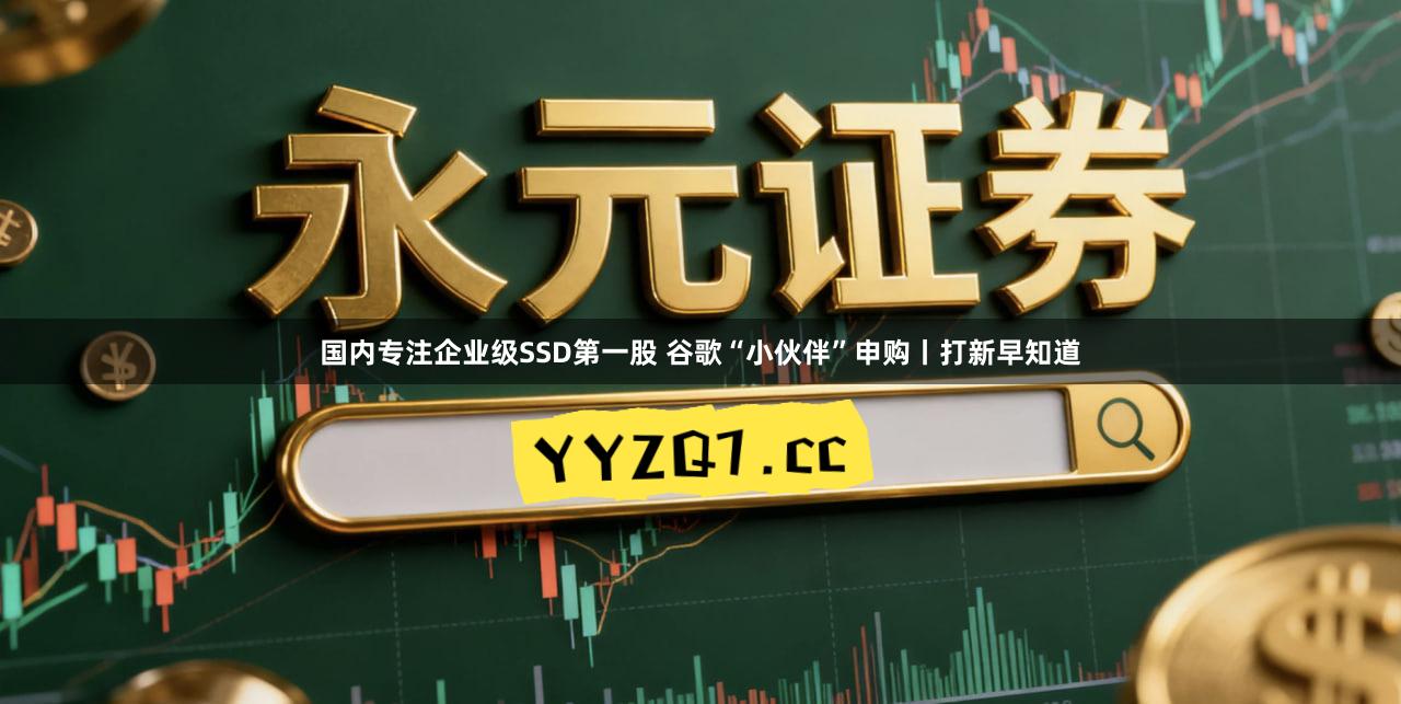 国内专注企业级SSD第一股 谷歌“小伙伴”申购丨打新早知道