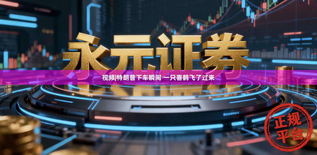 视频|特朗普下车瞬间 一只喜鹊飞了过来