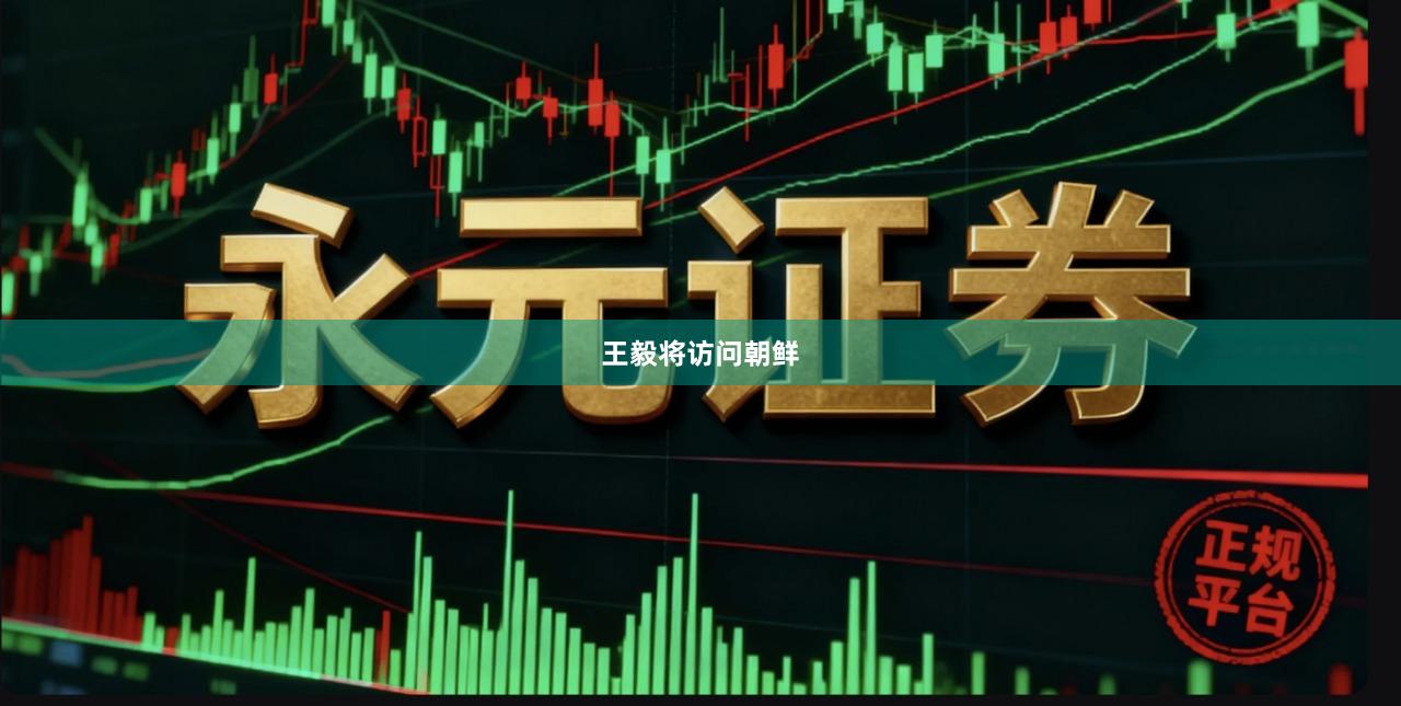 王毅将访问朝鲜