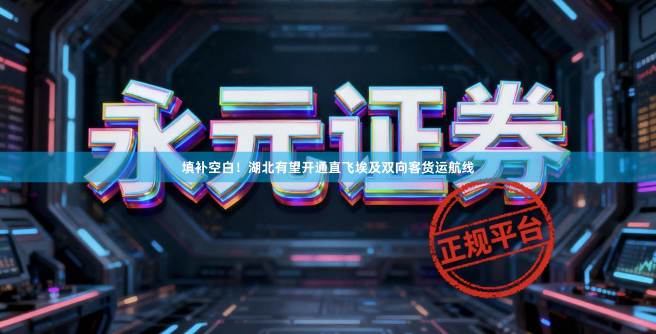 填补空白！湖北有望开通直飞埃及双向客货运航线
