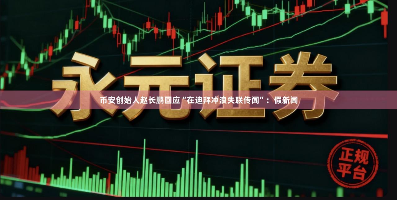 币安创始人赵长鹏回应“在迪拜冲浪失联传闻”：假新闻