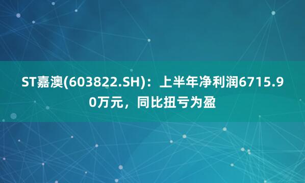 ST嘉澳(603822.SH):上半年净利润6715.90万元,同比扭亏为盈