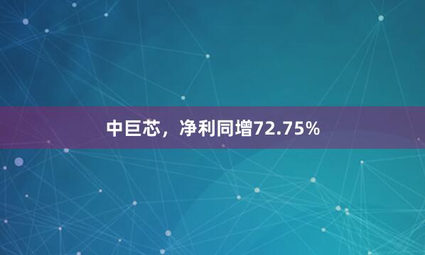 中巨芯，净利同增72.75%