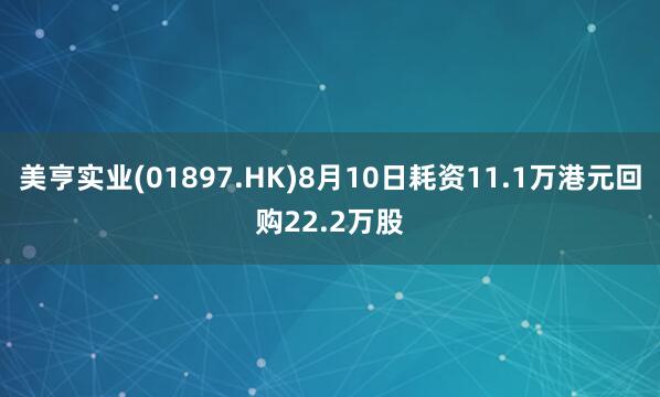 美亨实业(01897.HK)8月10日耗资11.1万港元回购22.2万股