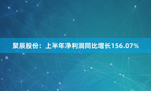 聚辰股份：上半年净利润同比增长156.07%